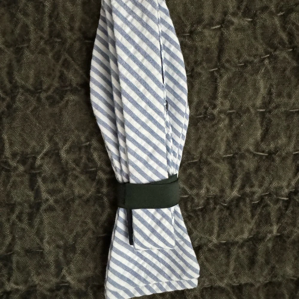 J. Crew Boys Blue and White Striped Ludlow Bow Tie